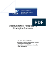 Oportunitati Si Perspective Strategice Bancare