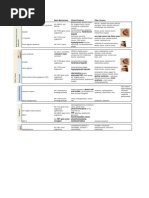 Genetic Conditions For USMLE