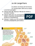 Islotes de Langerhans