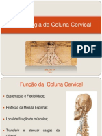 Coluna Cervical - Hicc