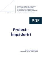 Proiect Impaduriri Final