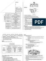 Short Notes Form 4 Biology (Chapter 1-4)