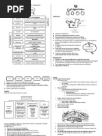 Short Notes Form 4 Biology (Chapter 1-4)