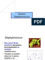 Staphylococcus