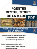 Agentes Destructores Madera 126980