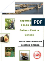 Proyecto Palta - Hass Final