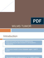 Wilms Tumor