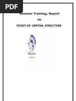 Project Report On Capital Structure