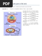 Celulas para o 8o Ano PDF