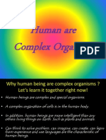 Human As Complex Organism