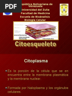 Citoesqueleto