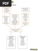 Schizophrenia Schematic Diagram: Positive (Hard) Symptoms: Negative (Soft) Symptoms