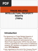 Trade-Related Intellectual Property Rights (Trips)