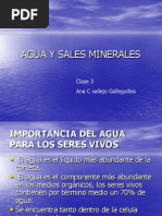 Agua y Sales Minerales