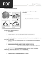 Atividade de Revisao