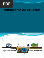 Tratamiento de Efluentes-Apoyo