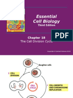 Essential Cell Biology: The Cell Division Cycle