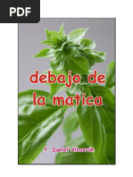 Daniel Albarrán, Debajo de La Matica (Novela)