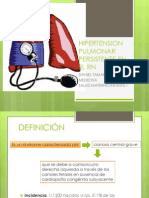 Hipertension Pulmonar Persistente en El RN