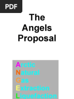 The ANGELS Proposal