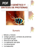 4.2 Código Genético y Sintesis de Proteinas