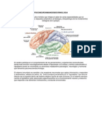 PSICONEUROINMUNOENDOCRINOLOGIA