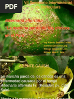 789presencia Hongo Alternaria Peru