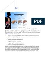 Hepatitis Sirosis Hati