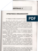 Strategia Organizatiei