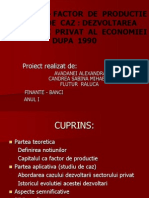 Capitalul - Factor de Productie