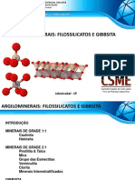 8 Argilominerais Filossilicatos e Gibbsita