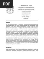 Informe 7 Oxido-Reduccion Corregido