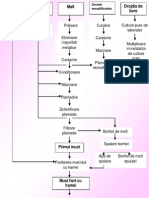 Schema de Producere A Berii