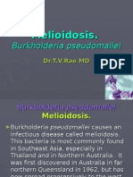 Melioidosis