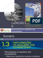 Powerpoint Nr. 1 - Efeitos Da Catástrofes Naturais