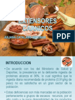 Extensores Carnicos