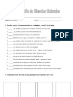 Prueba de Ciencias Naturales Las Plantas