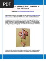 Tratamiento de Insuficiencia Renal