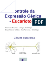 Controle Da Expressão Gênica - Eucariotos