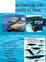 Adaptaciones de Los Mamiferos Al Mar