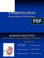 Embriologia Del Aparato Digestivo