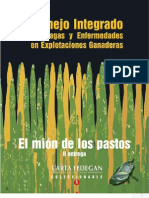 Mion de Los Pastos