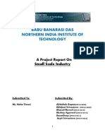 Babu Banarasi Das Northern India Institute of Technology: A Project Report On Small Scale Industry