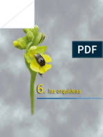 Manual de Orquideas