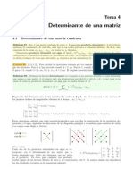 04 Determinante PDF