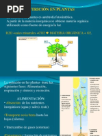 Fisiología de La Nutrición Vegetal