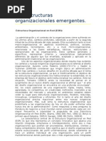 2.6. Estructuras Organizacionales Emergentes.: Estructura Organizacional en Red (EOR)