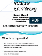 Human Karyotyping: Sarwat Maroof