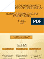 Desarrollo Embrionario y Alteraciones Neurologicas