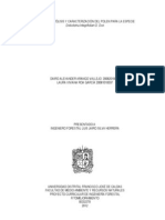 Informe Acetolisis y Caracterizacion Del Polen D.integrifolium